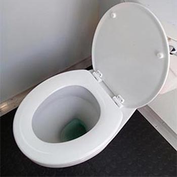 vaal toilets